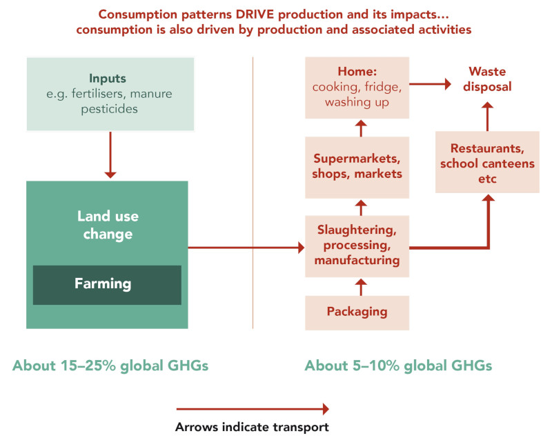 Food Source Diagram