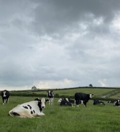 Ox Close Farm